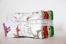 Load image into Gallery viewer, Northern Light Precut Fat Eighth Bundle, Annie Brady, 16730F8