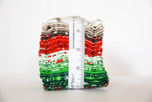 Load image into Gallery viewer, Northern Light Precut Fat Eighth Bundle, Annie Brady, 16730F8