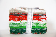 Load image into Gallery viewer, Northern Light Precut Fat Eighth Bundle, Annie Brady, 16730F8