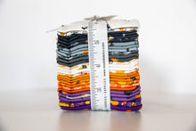 Load image into Gallery viewer, Ghouls and Goodies Precut Fat Eighth Bundle, Stacy Iest Hsu, 20680F8