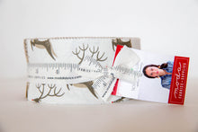 Load image into Gallery viewer, Northern Light Jelly Roll, Annie Brady, 16730JR