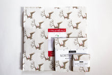 Load image into Gallery viewer, Northern Light Mini Candy Pack, Annie Brady, 16730MC