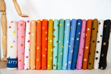 Load image into Gallery viewer, Starry in Soft Aqua, Alexia Marcelle Abegg, Ruby Star Society, RS4006-24