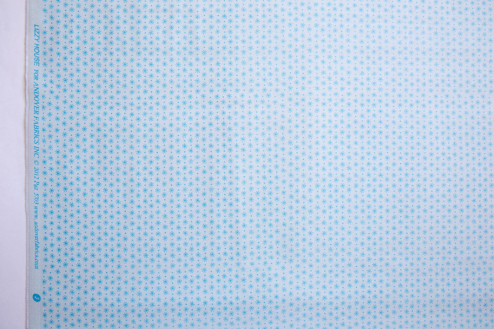 Constellations Twinkle Twinkle in Frost, Lizzy House, A-5703-T