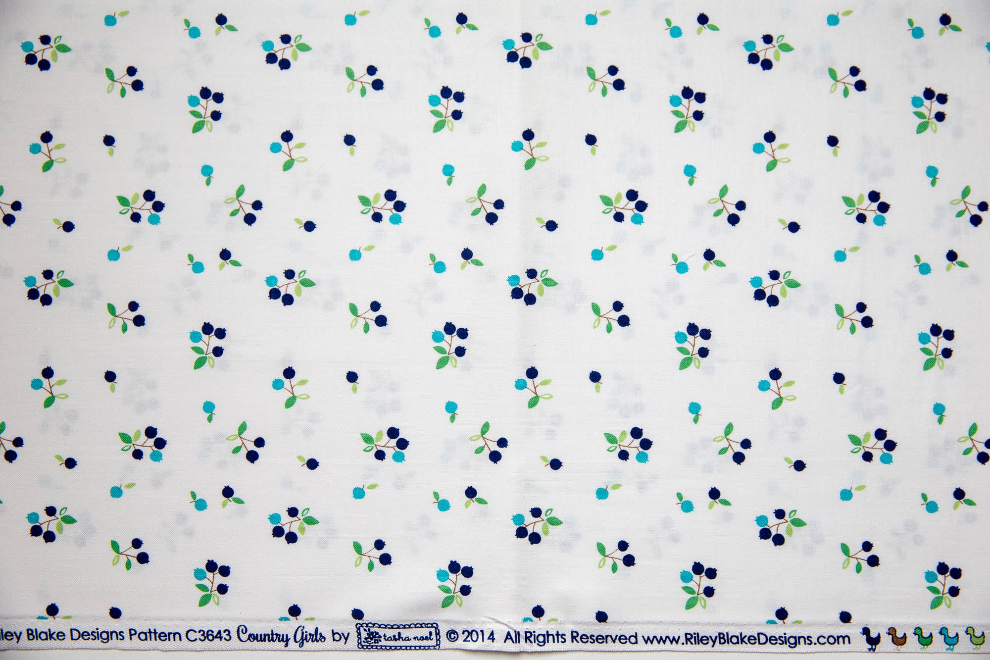 Country Girls Country Blueberries in White and Navy, Tasha Noel, C3643 Navy