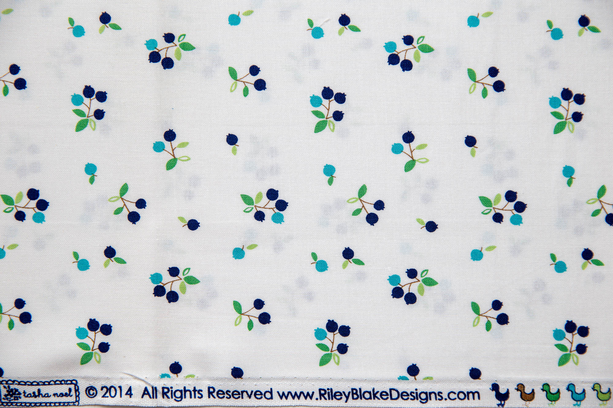 Country Girls Bundle, 10 Pieces, Tasha Noel, C3640