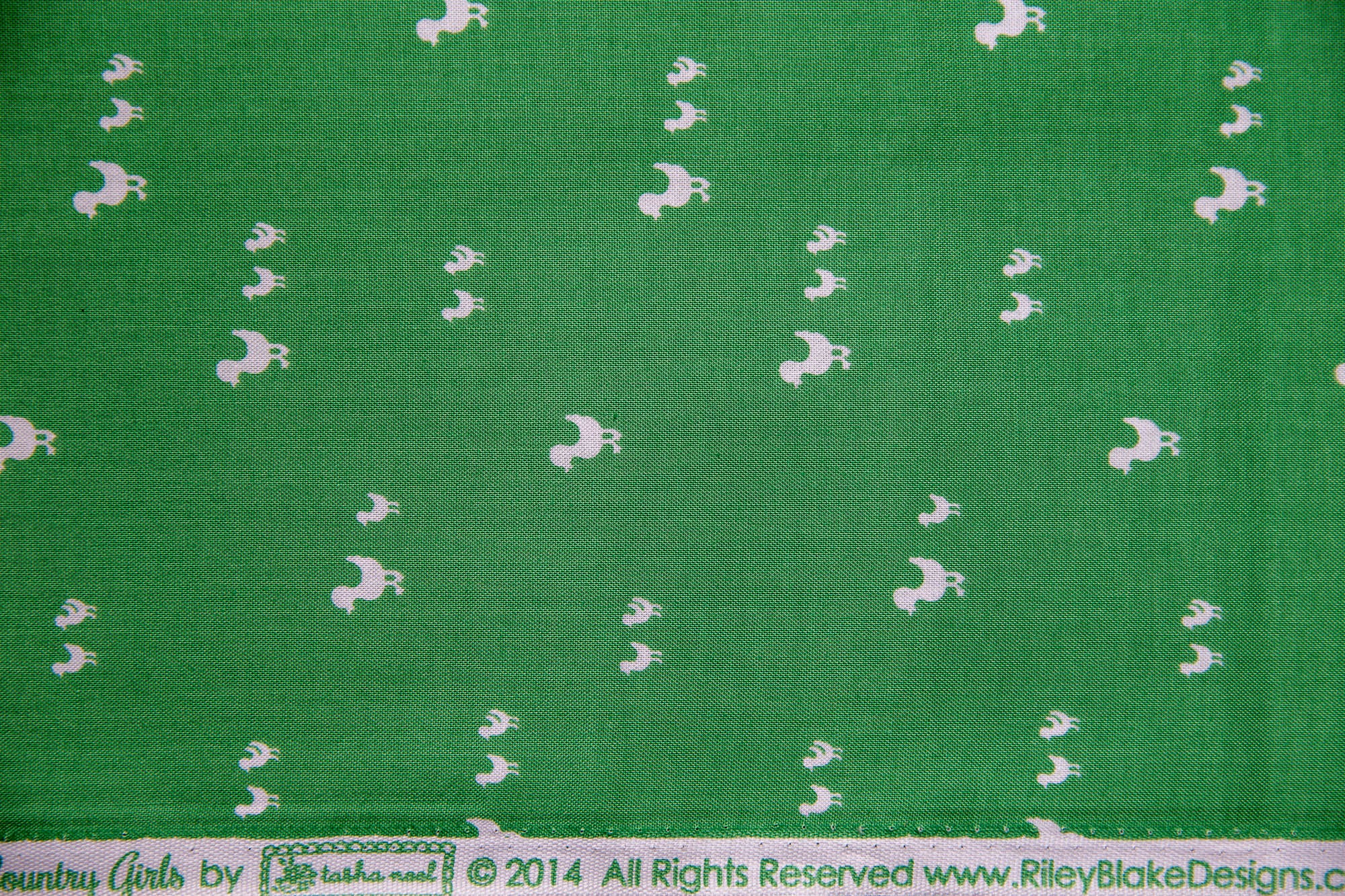 Country Girls Bundle, 10 Pieces, Tasha Noel, C3640