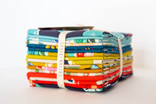 Load image into Gallery viewer, Picnic Fat Quarter Bundle, 16 Pieces, Melody Miller, Cotton &amp; Steel, 0999-19
