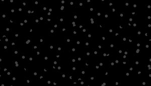 Hole Punch Dot in Black, Kimberly Kight, RS3025-36