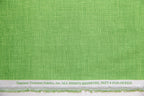 Vikings Organic Cotton, Sketch in Brown, Timeless Treasures, FUN-OC8224-GREEN