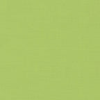ENVY Andover Textured Solids, 100% Cotton, T-ENV
