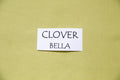 Clover Bella Cotton Solid Fabric from Moda, 9900 73
