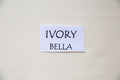 Ivory Bella Cotton Solid Fabric from Moda, 9900 60