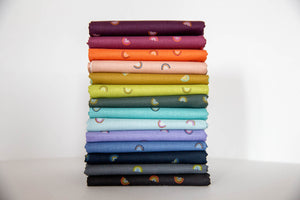 Always Look For Rainbows Bundle, 14 Pieces, Cotton+Steel Basics, CS106