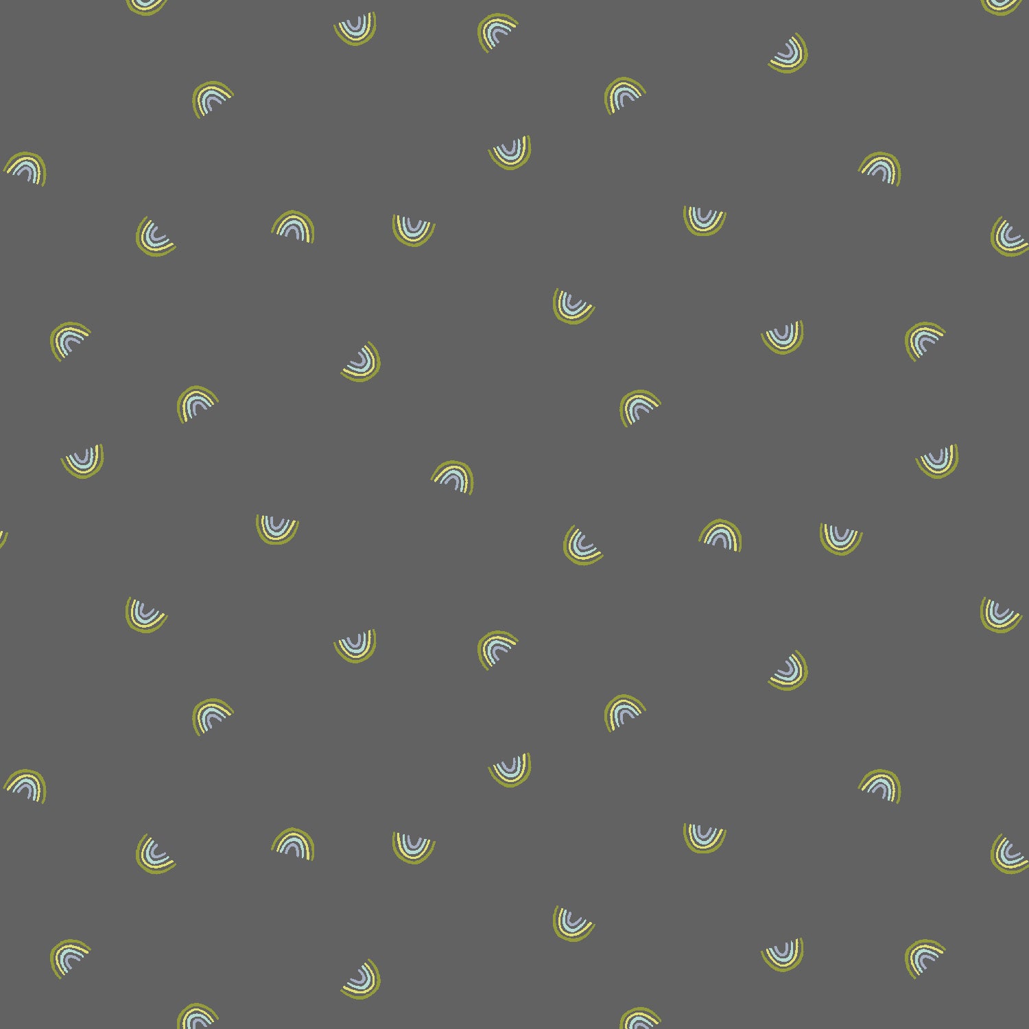 Always Look For Rainbows in Thunderstruck, Cotton+Steel Basics, CS106-TH13