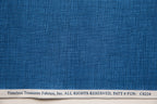 Sketch in Denim, Timeless Treasures, FUN-C8224-DENIM