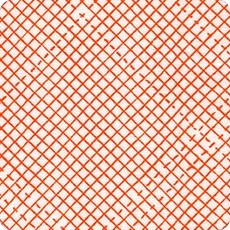 Euclid Check It in Tangerine, Carolyn Friedlander, AFR-16281-147 TANGERINE