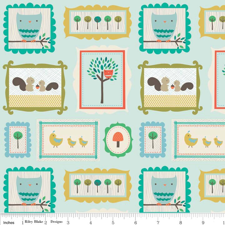 Scenic Route Frames in Aqua, Deena Rutter, Riley Blake Designs, 100% Cotton Fabric, C3661-BLUE