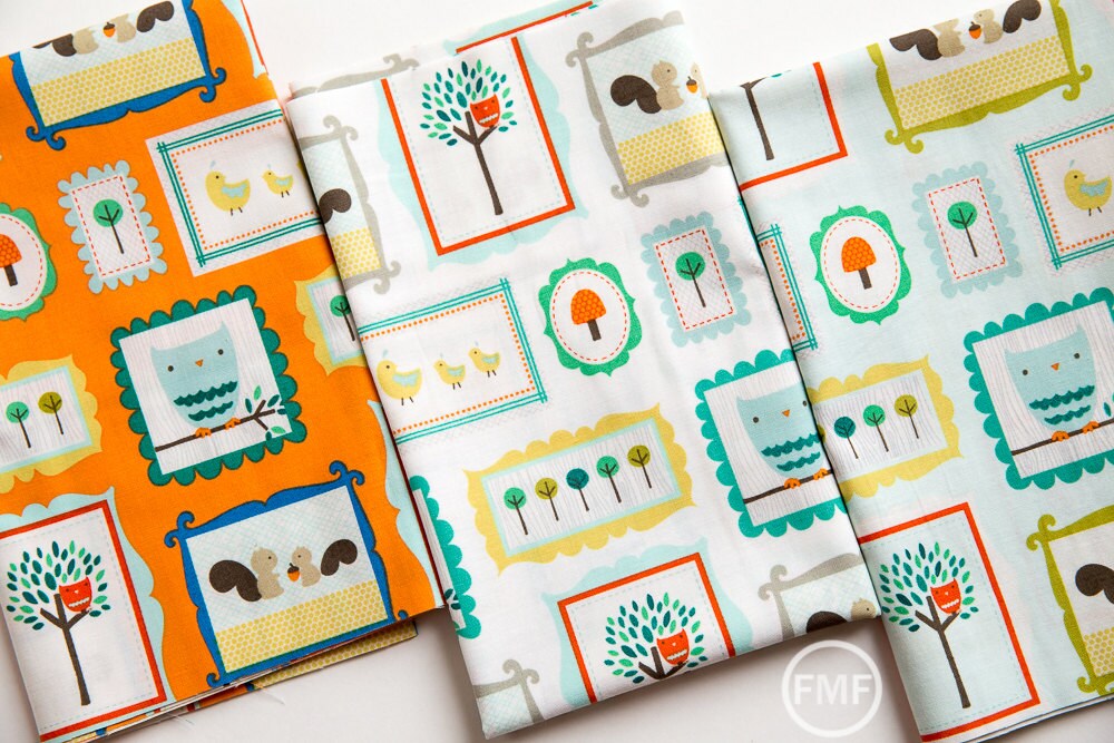 Scenic Route Frames in Orange, Deena Rutter, Riley Blake Designs, 100% Cotton Fabric, C3661-ORANGE