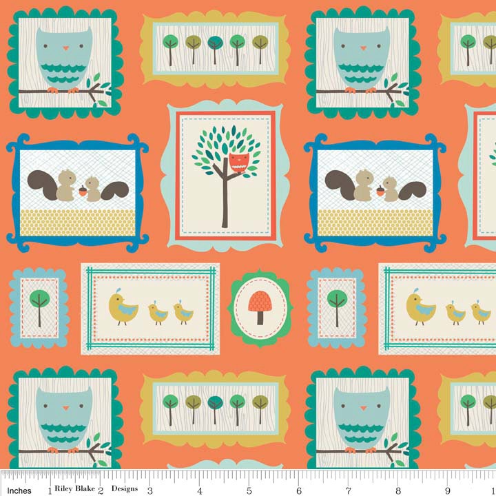 Scenic Route Frames in Orange, Deena Rutter, Riley Blake Designs, 100% Cotton Fabric, C3661-ORANGE