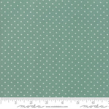 Load image into Gallery viewer, 24-Inch Remnant Add it Up in Soft Aqua, Alexia Abegg, Ruby Star Society, Moda Fabrics, 100% Cotton Fabric, RS4005 33
