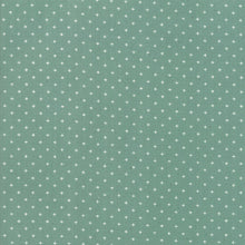 Load image into Gallery viewer, 24-Inch Remnant Add it Up in Soft Aqua, Alexia Abegg, Ruby Star Society, Moda Fabrics, 100% Cotton Fabric, RS4005 33
