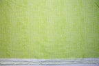 Sketch in Lime, Timeless Treasures, FUN-C8224-LIME