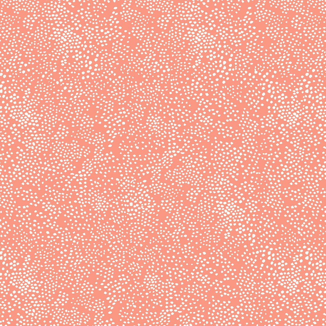 Rifle Paper Basics Menagerie Champagne in Coral, Rifle Paper Co., RP502-CO1