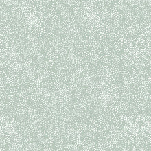 Load image into Gallery viewer, Rifle Paper Basics Menagerie Champagne in Mint, Rifle Paper Co., RP502-MI2
