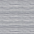 Rifle Paper Basics Festive Stripe in Navy, Rifle Paper Co., RP609-NA2