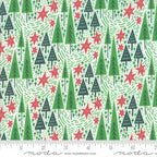 Northern Light Winter Night in Snow, Annie Brady, 16732 11