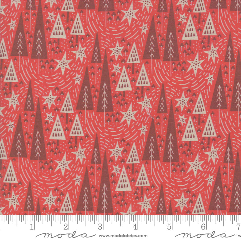 Northern Light Winter Night in Cinnamon, Annie Brady, 16732 16