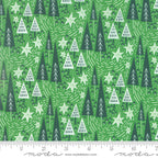 Northern Light Winter Night in Holly, Annie Brady, 16732 18