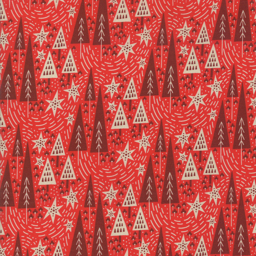 Northern Light Winter Night in Cinnamon, Annie Brady, 16732 16