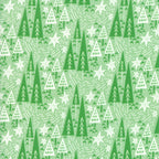 Northern Light Winter Night in Spruce, Annie Brady, 16732 17