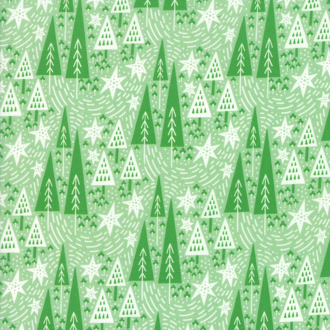 Northern Light Winter Night in Spruce, Annie Brady, 16732 17