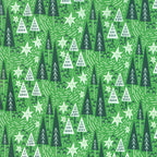 Northern Light Winter Night in Holly, Annie Brady, 16732 18