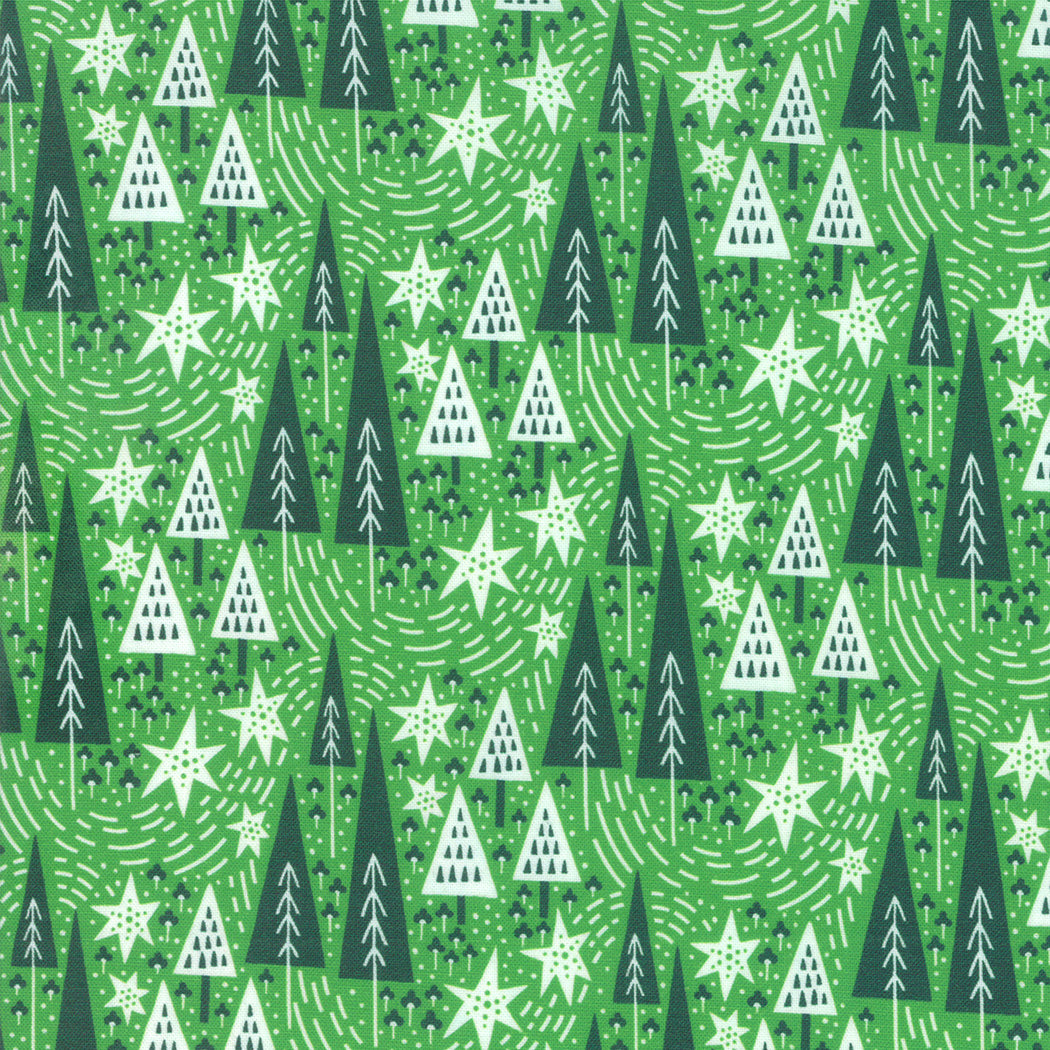 Northern Light Winter Night in Holly, Annie Brady, 16732 18