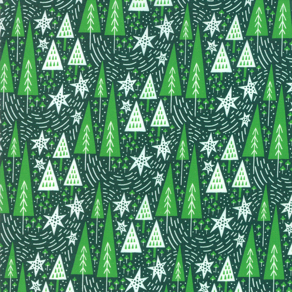 Northern Light Winter Night in Pine, Annie Brady, 16732 19