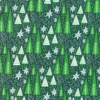 Northern Light Winter Night in Pine, Annie Brady, 16732 19