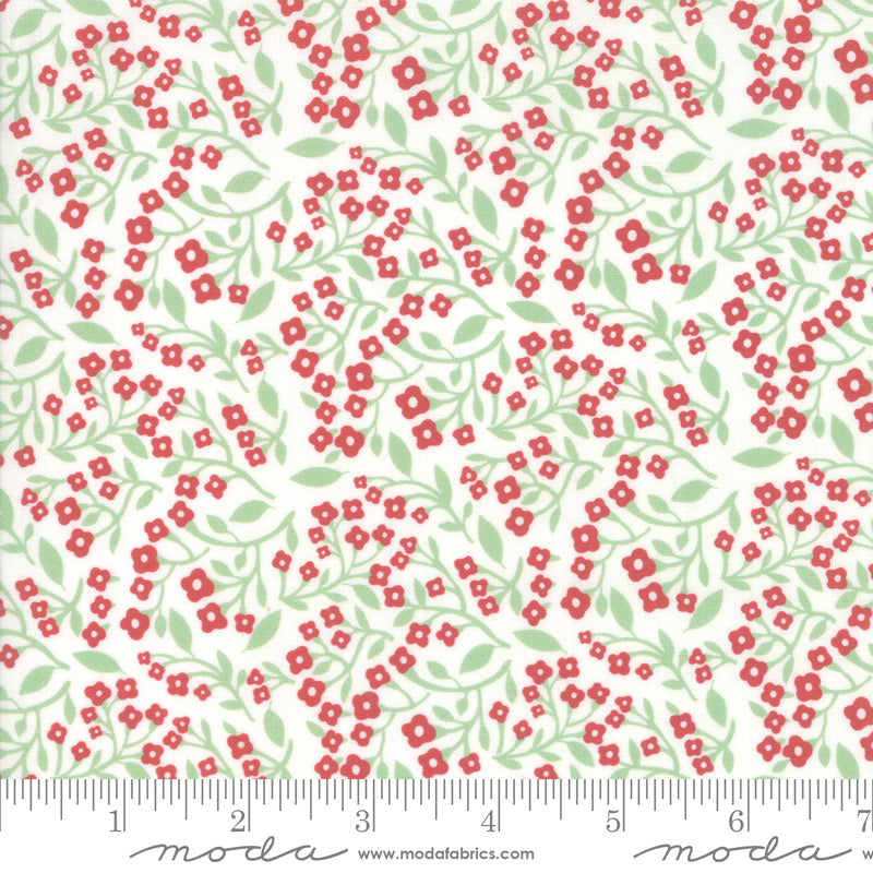 Northern Light Vine in Snow, Annie Brady, 16733 11