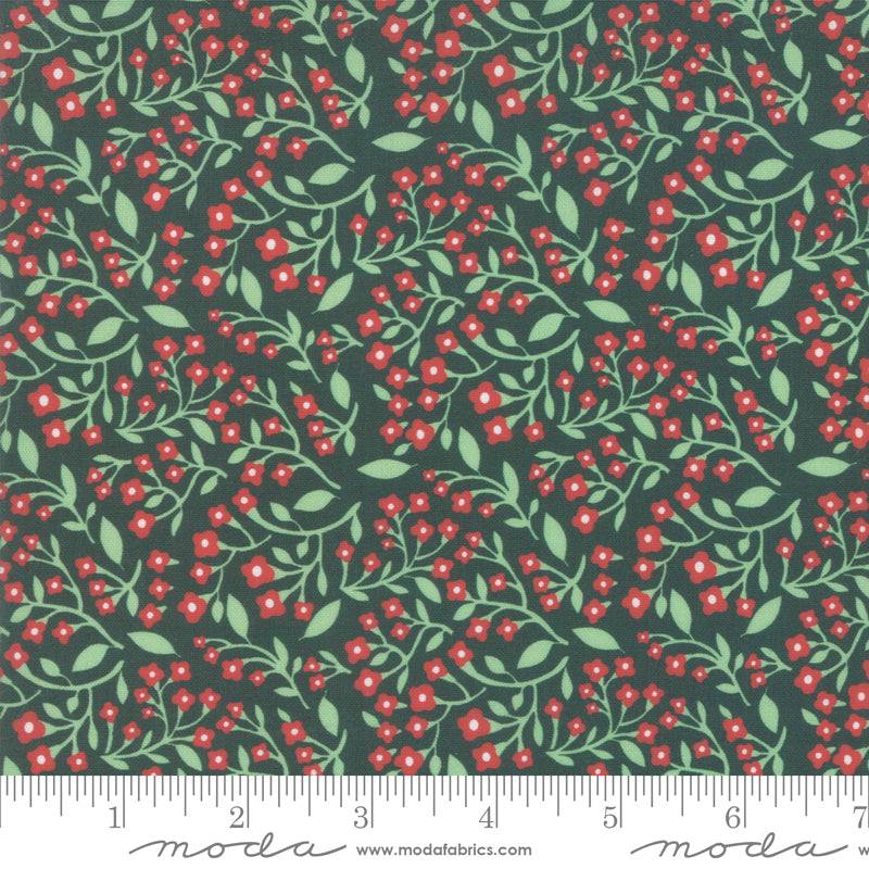 Northern Light Vine in Pine, Annie Brady, 16733 19