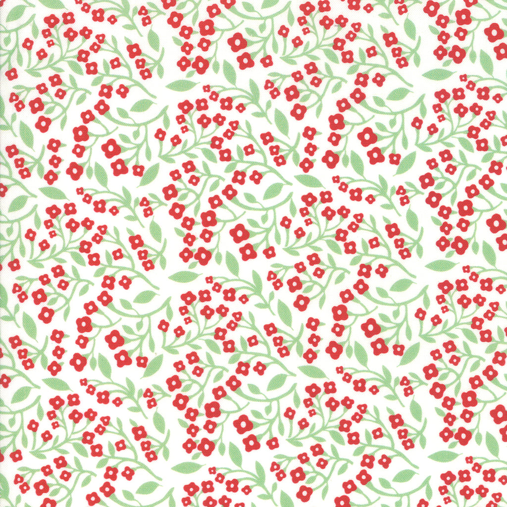 Northern Light Vine in Snow, Annie Brady, 16733 11