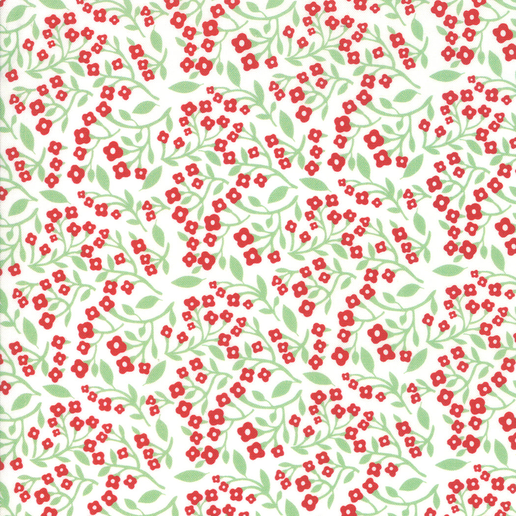 Northern Light Vine in Snow, Annie Brady, 16733 11