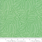 Northern Light Branches in Spruce, Annie Brady, 16734 17