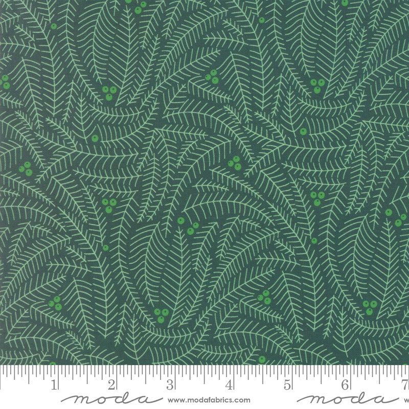 Northern Light Branches in Pine, Annie Brady, 16734 19