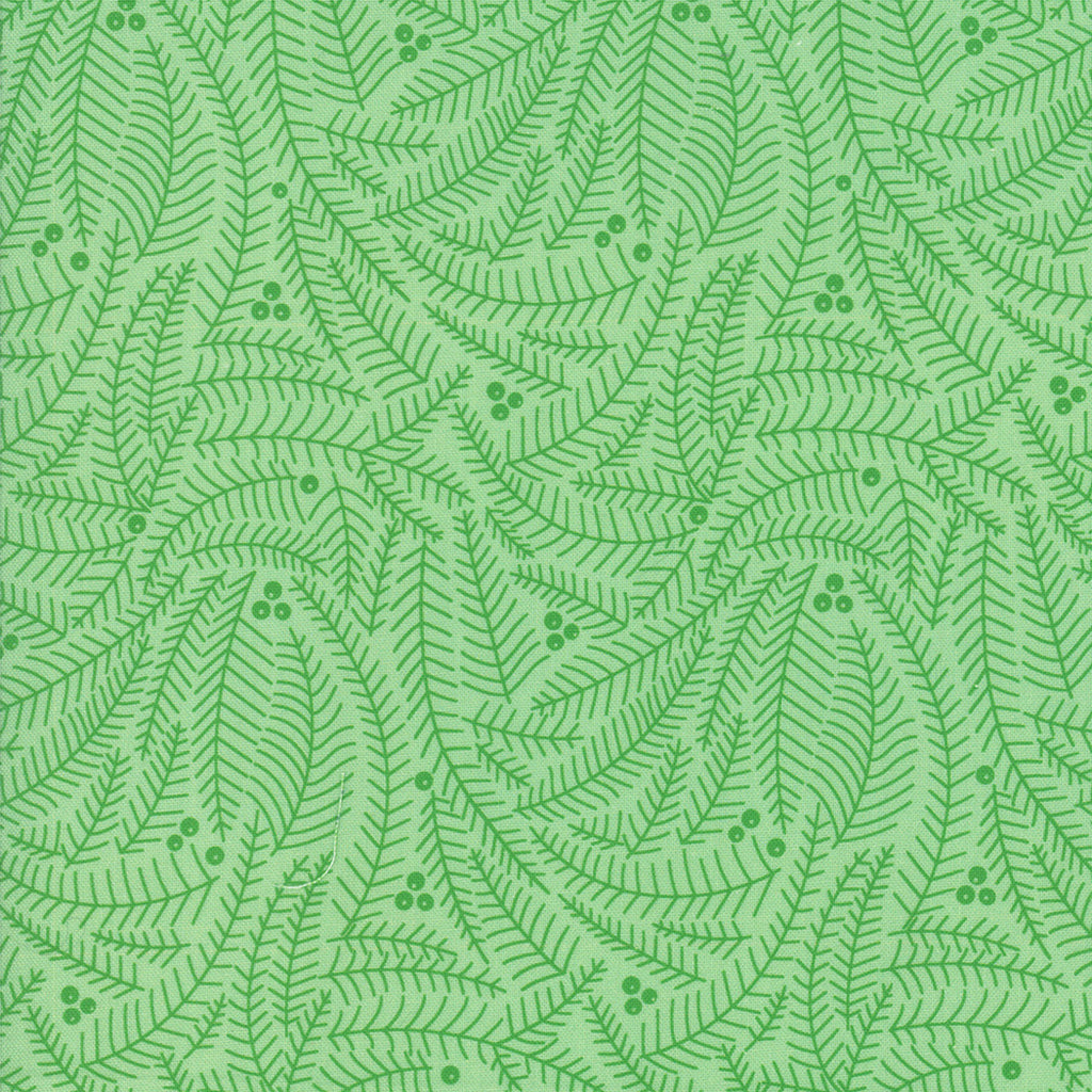 Northern Light Branches in Spruce, Annie Brady, 16734 17