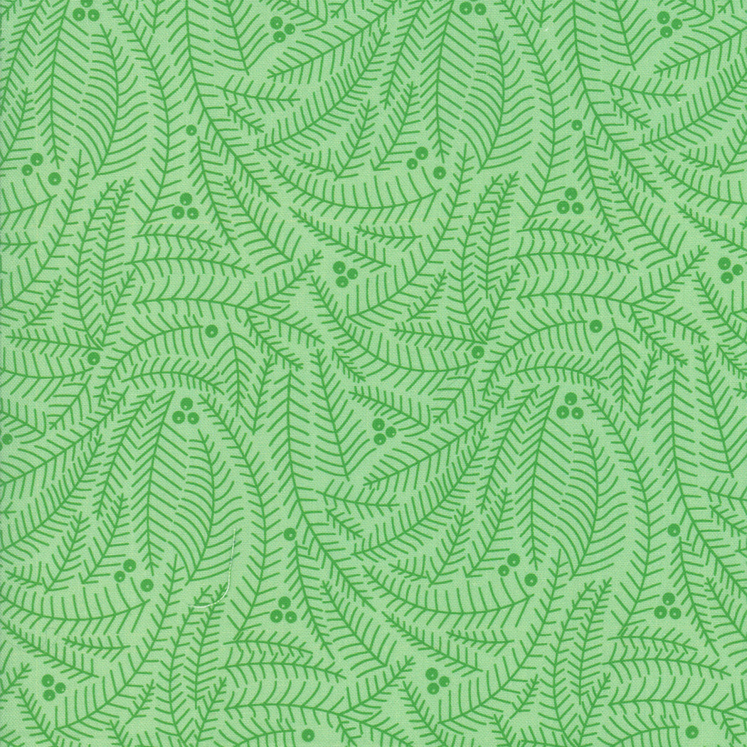 Northern Light Branches in Spruce, Annie Brady, 16734 17