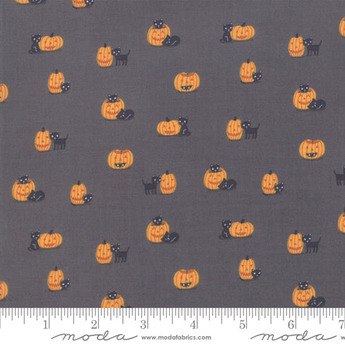 Ghouls and Goodies Cat O'Lantern in Licorice, Stacy Iest Hsu, 20684 12