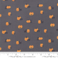 Load image into Gallery viewer, Ghouls and Goodies Cat O&#39;Lantern in Licorice, Stacy Iest Hsu, 20684 12
